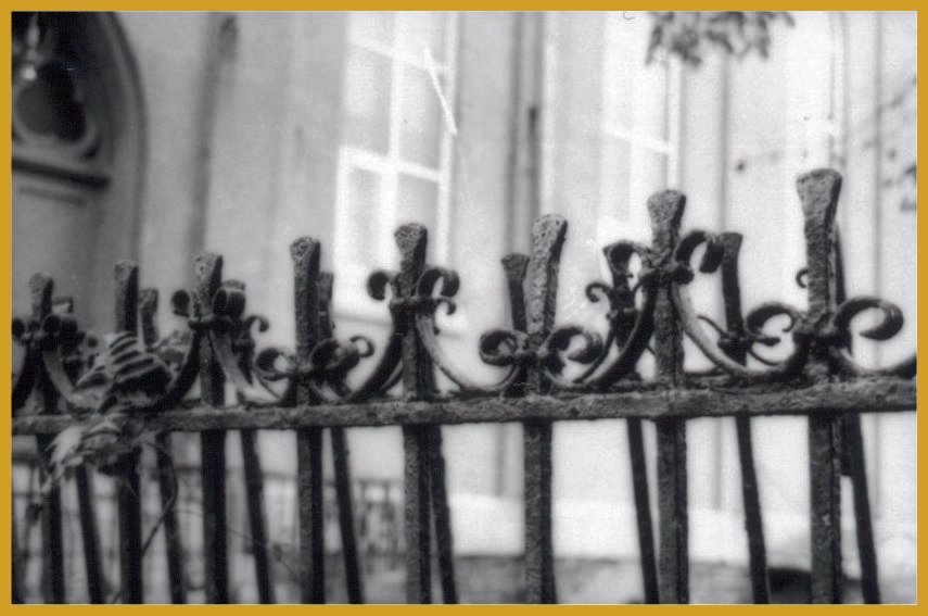 fence me in